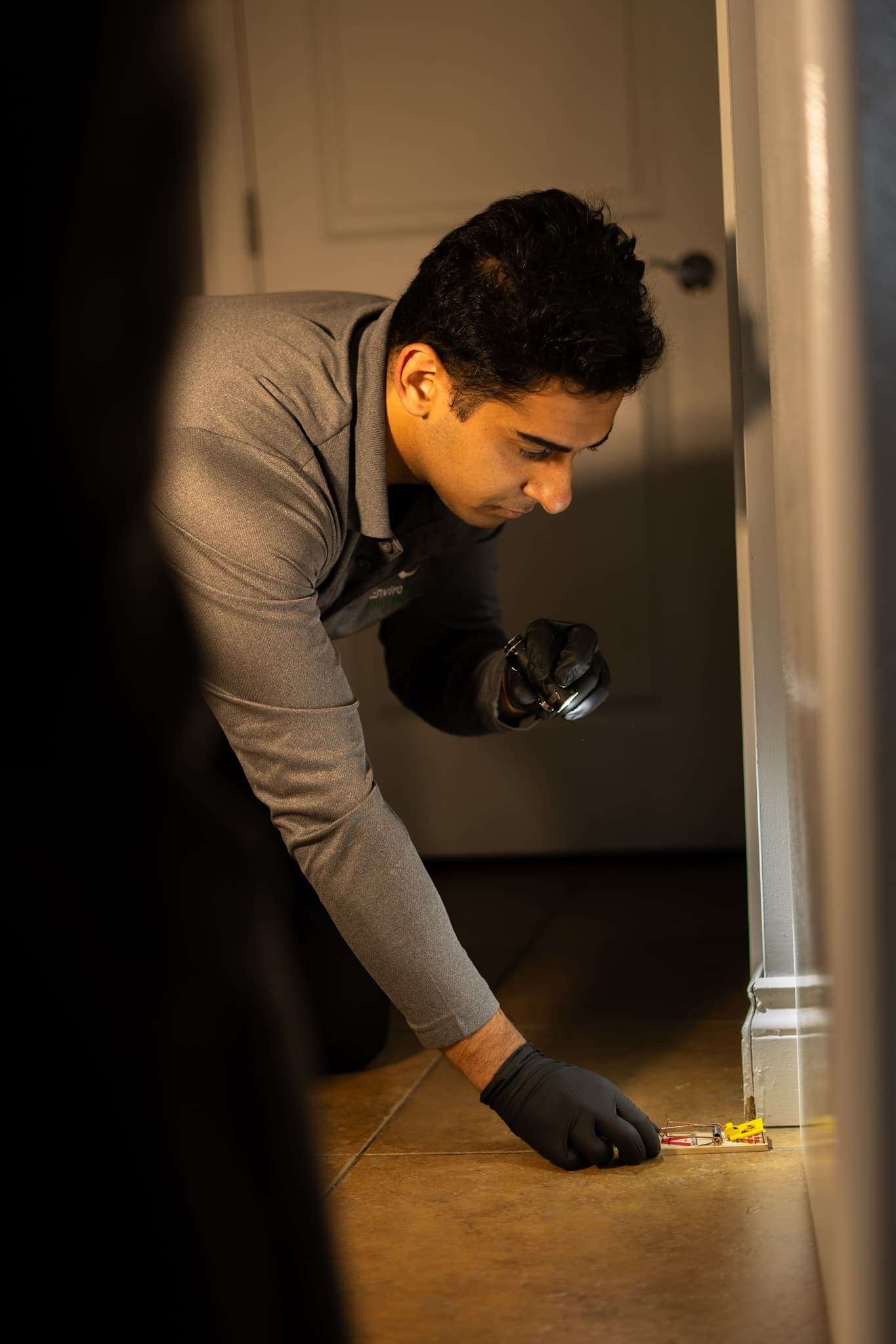 Contact EnviroGreen Pest Control