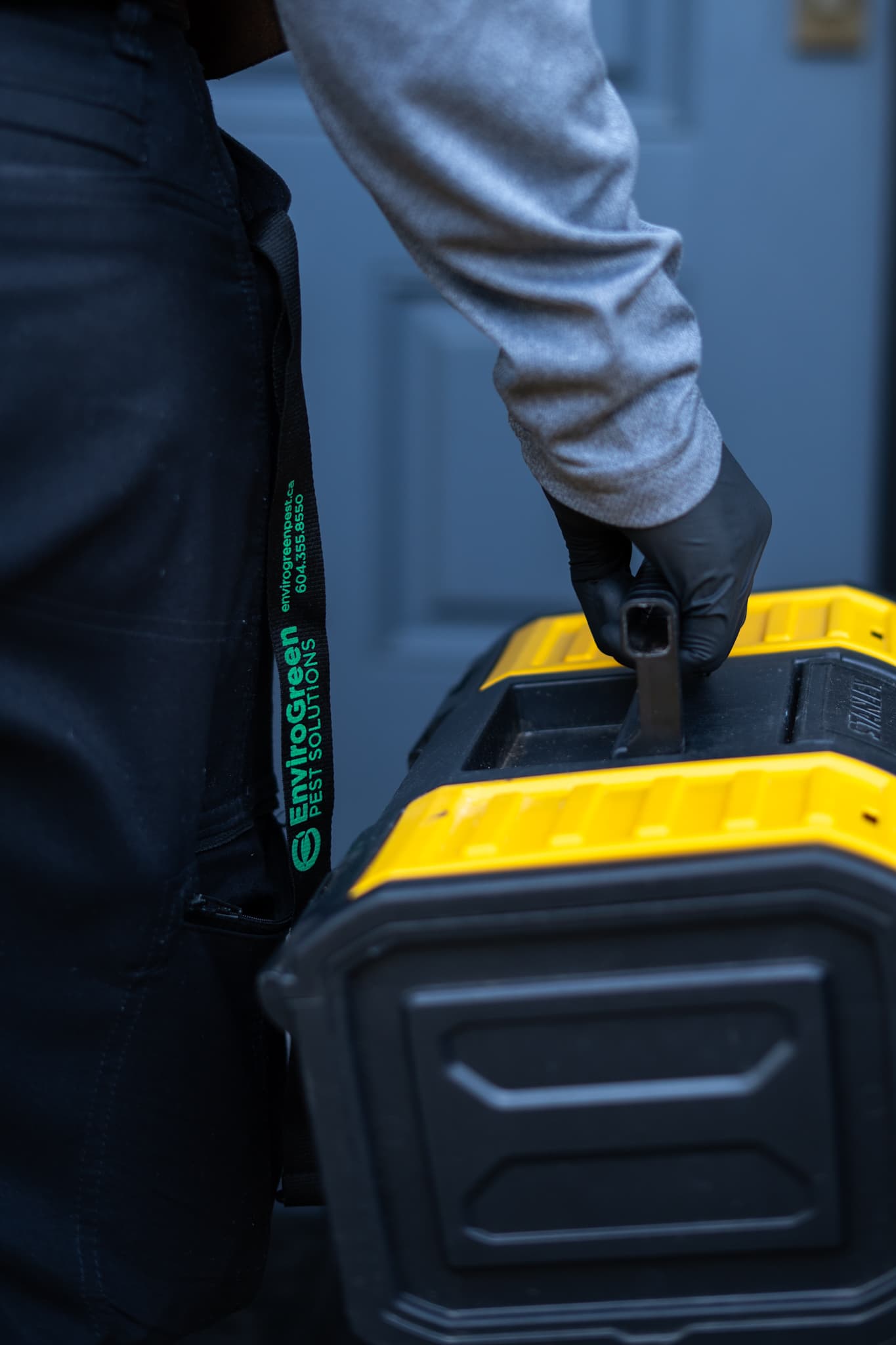 Residential Pest Control Solutions
